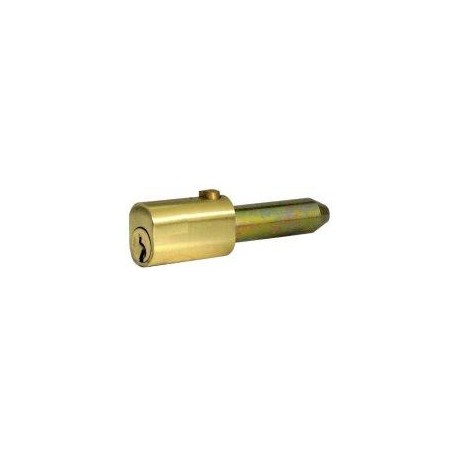 Morgan oval bullet lock